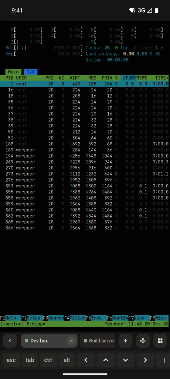 Warpeer for Android terminal running htop in tmux, with the session dock showing two tabs and the key bar.