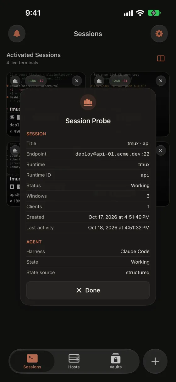 Session probe sheet showing runtime, status and Claude Code agent details for a tmux session.