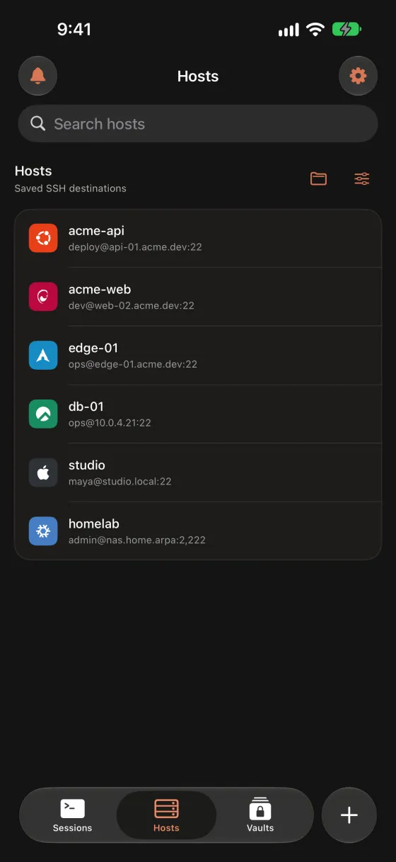 Saved SSH hosts with operating-system badges and endpoints.