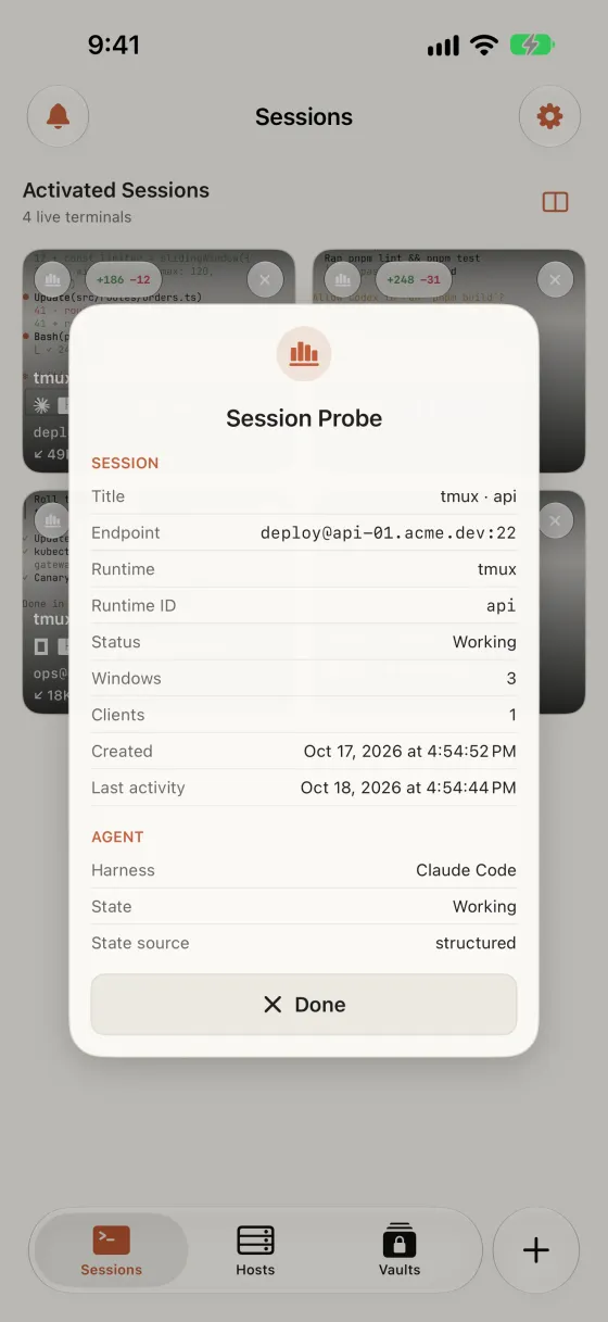 Session probe sheet showing runtime, status and Claude Code agent details for a tmux session.