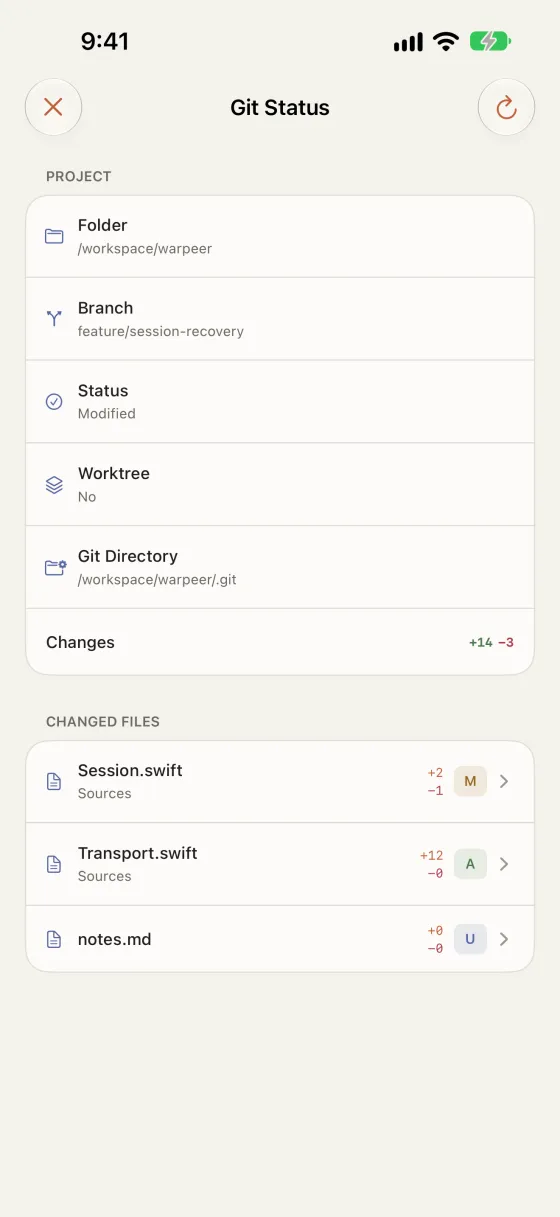 Git status page listing the branch, worktree and changed files of the remote project.